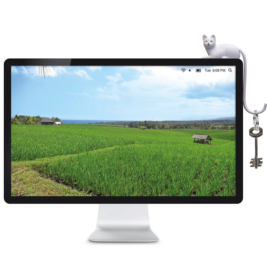 Ginger - Screen Hook