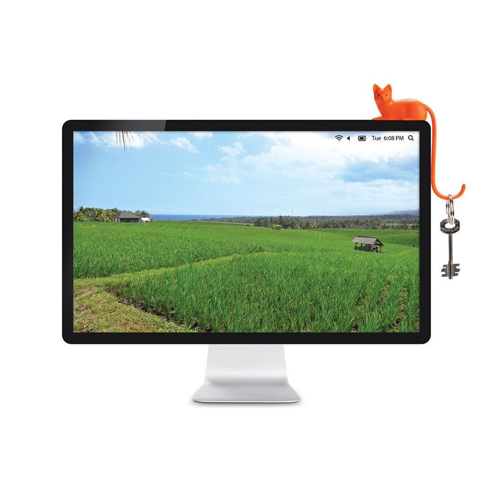 Ginger - Screen Hook